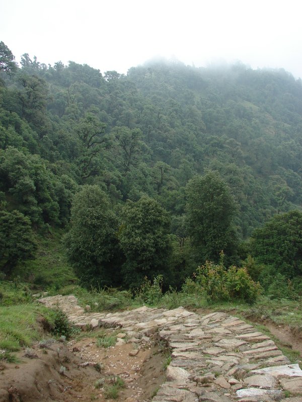 [Photograph: Trail to Devriya Tal]