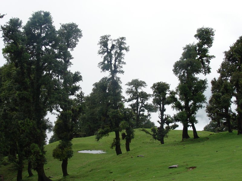 [Photograph: On the way to Tungnath]