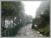 [Thumbnail: Trail to Tungnath]